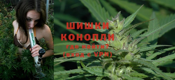 ALPHA PVP Краснослободск
