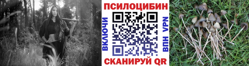 Галлюциногенные грибы мухоморы  Ядрин 